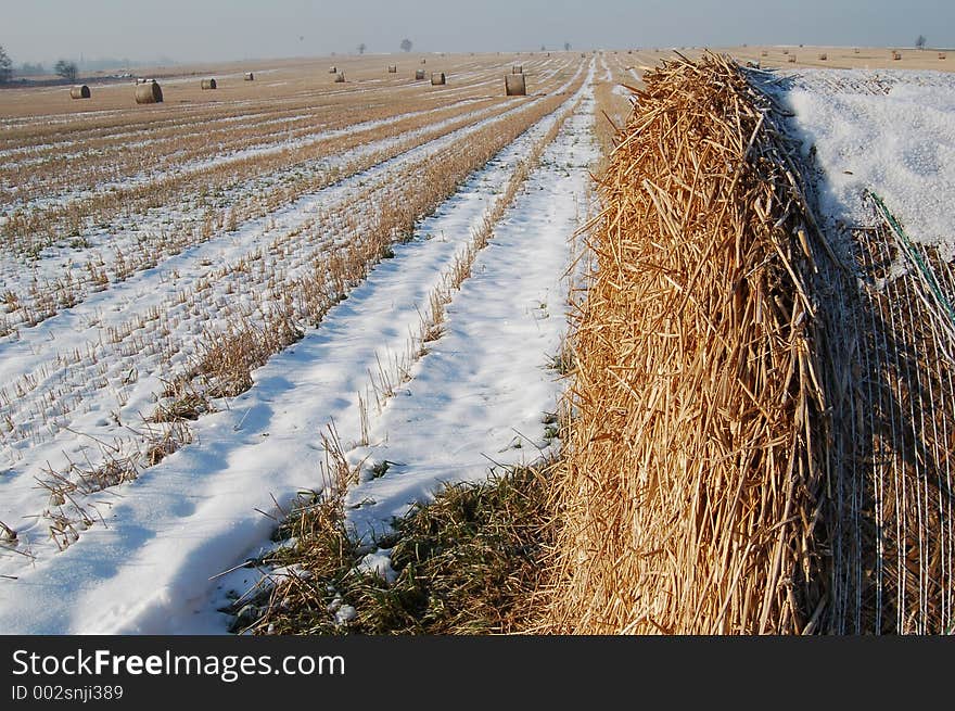 Winter Landscape With Bundles