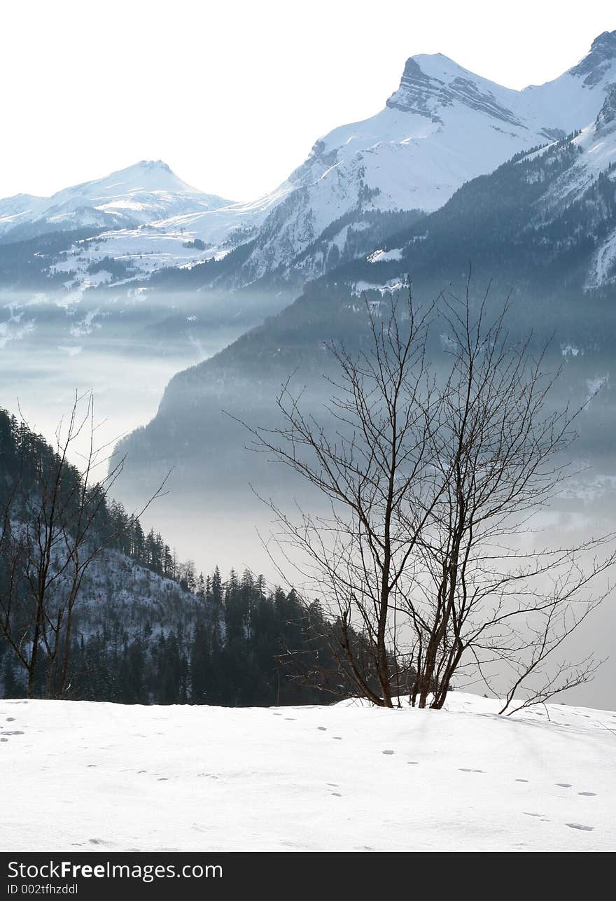 Haze valley, the regular name is white valley for this place going to the most higher mountain in the alps. France. Europe.