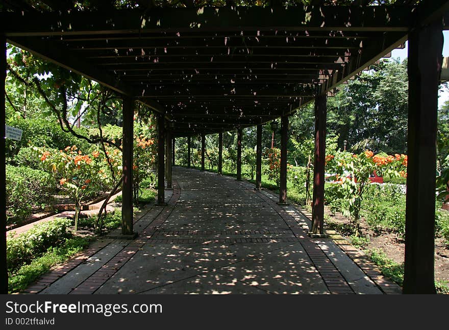 Shaded walkway covered with flooring vines at the Hibiscus Garden in Kuala Lumpur. Shaded walkway covered with flooring vines at the Hibiscus Garden in Kuala Lumpur