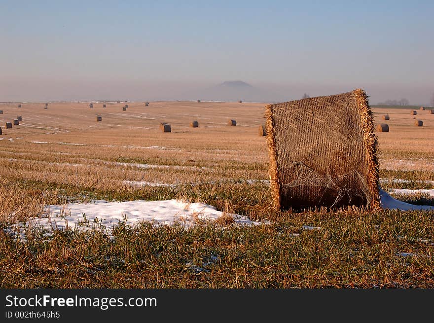 Winter landscape with a lot of bundles. Winter landscape with a lot of bundles