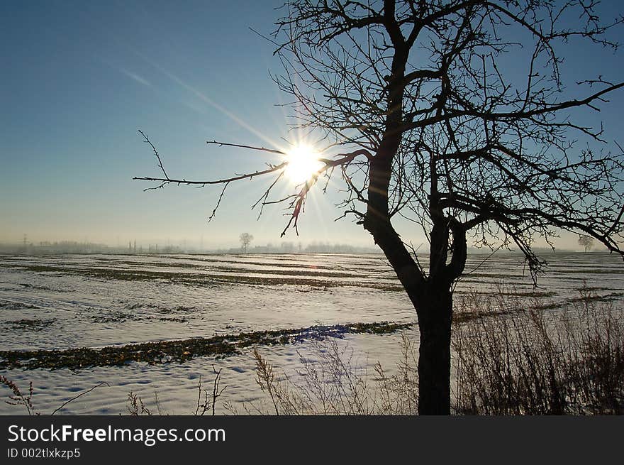 Beautiful winter landscape #1