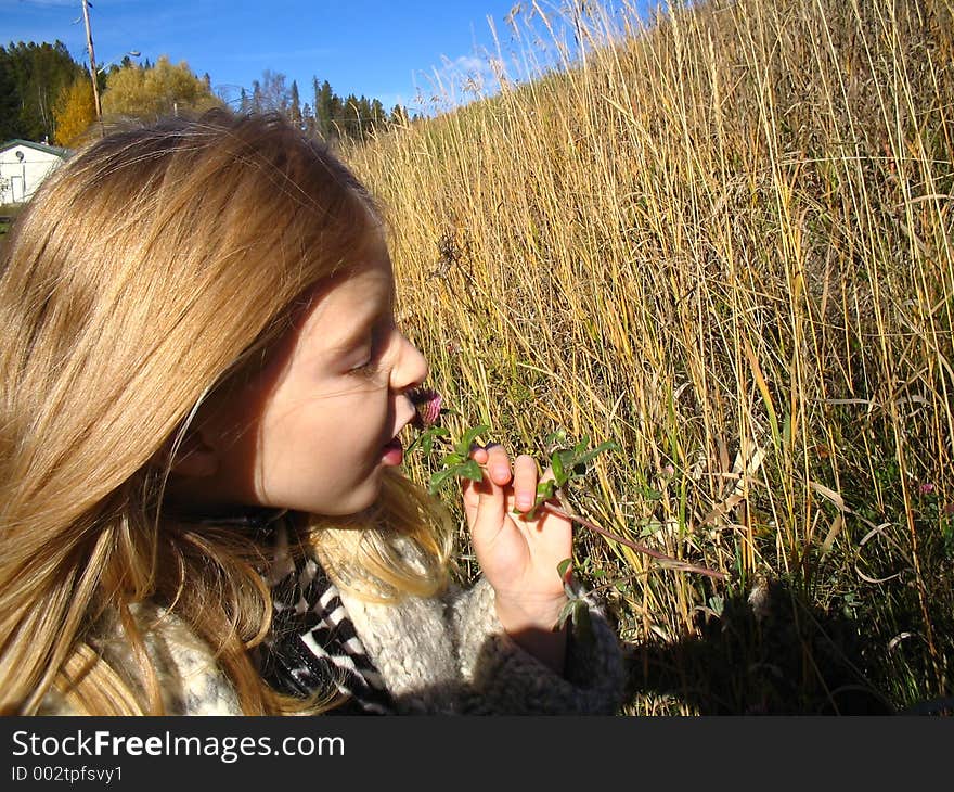 Tasting The Clover