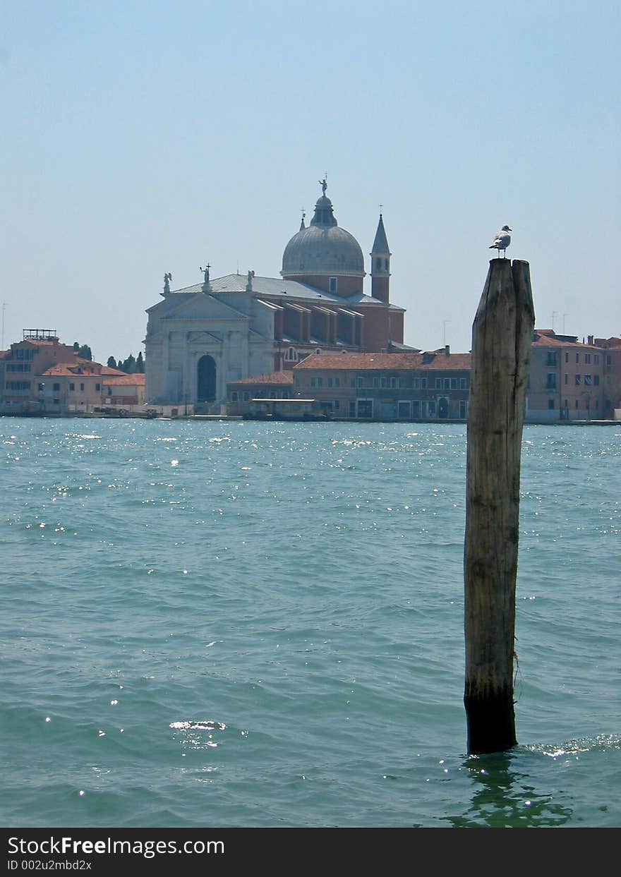 A bird and the San Giorgio Maggiore, Venice Italy