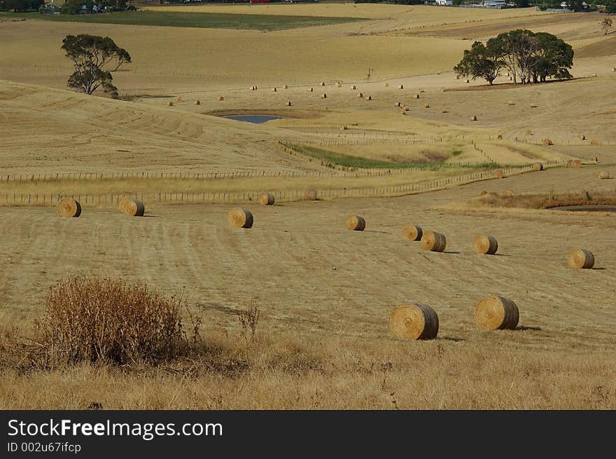 Round haystacks