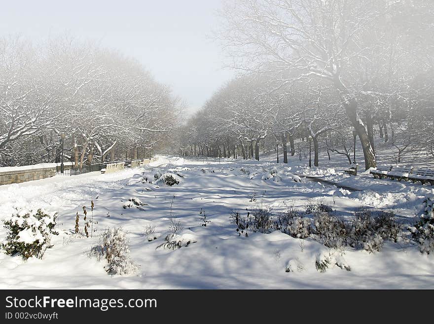 Winter fog