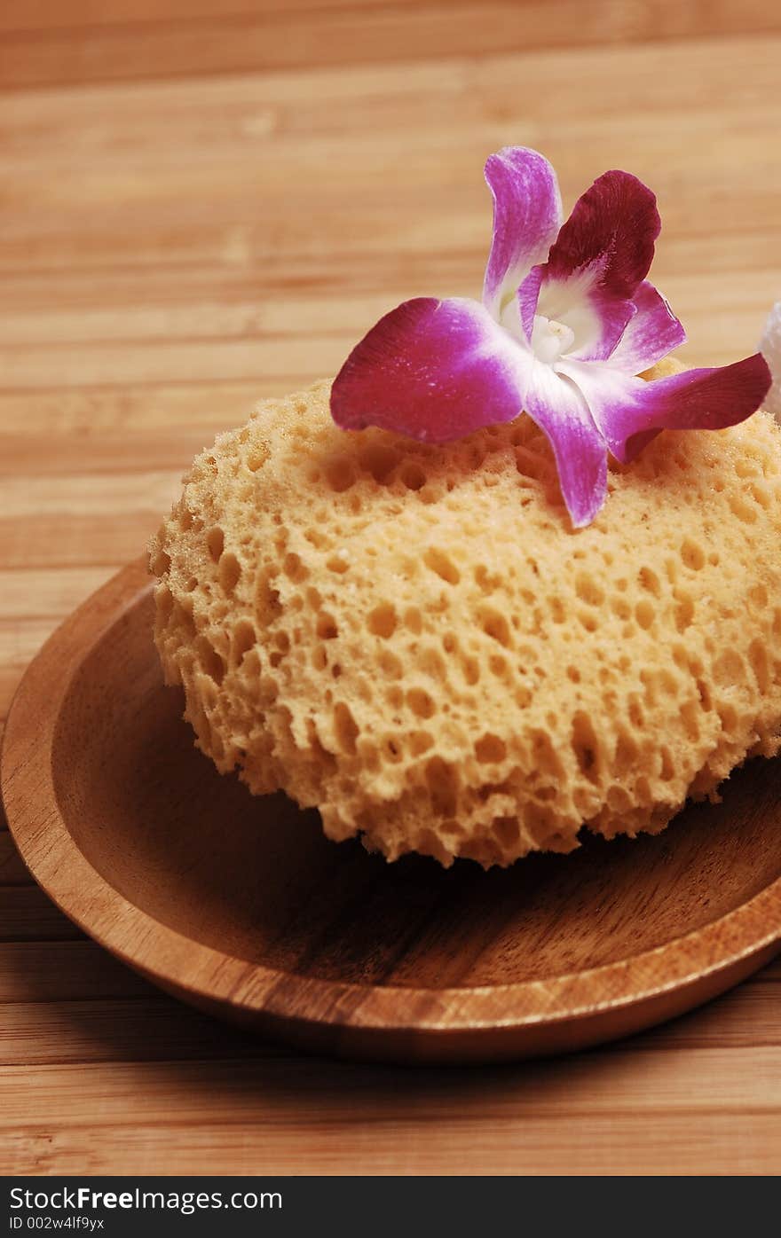 A sea sponge and an orchid on bamboo. A sea sponge and an orchid on bamboo