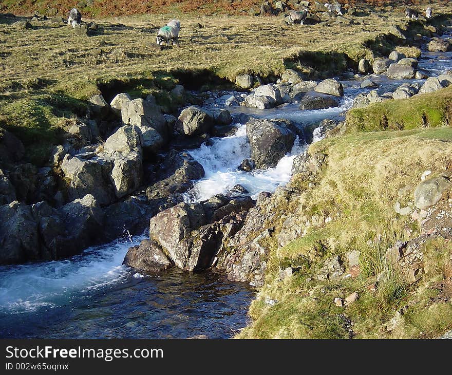 Mountain Stream