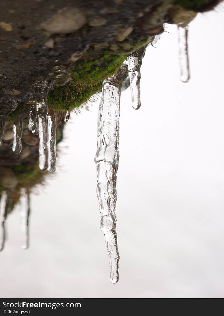 Icicles and moss