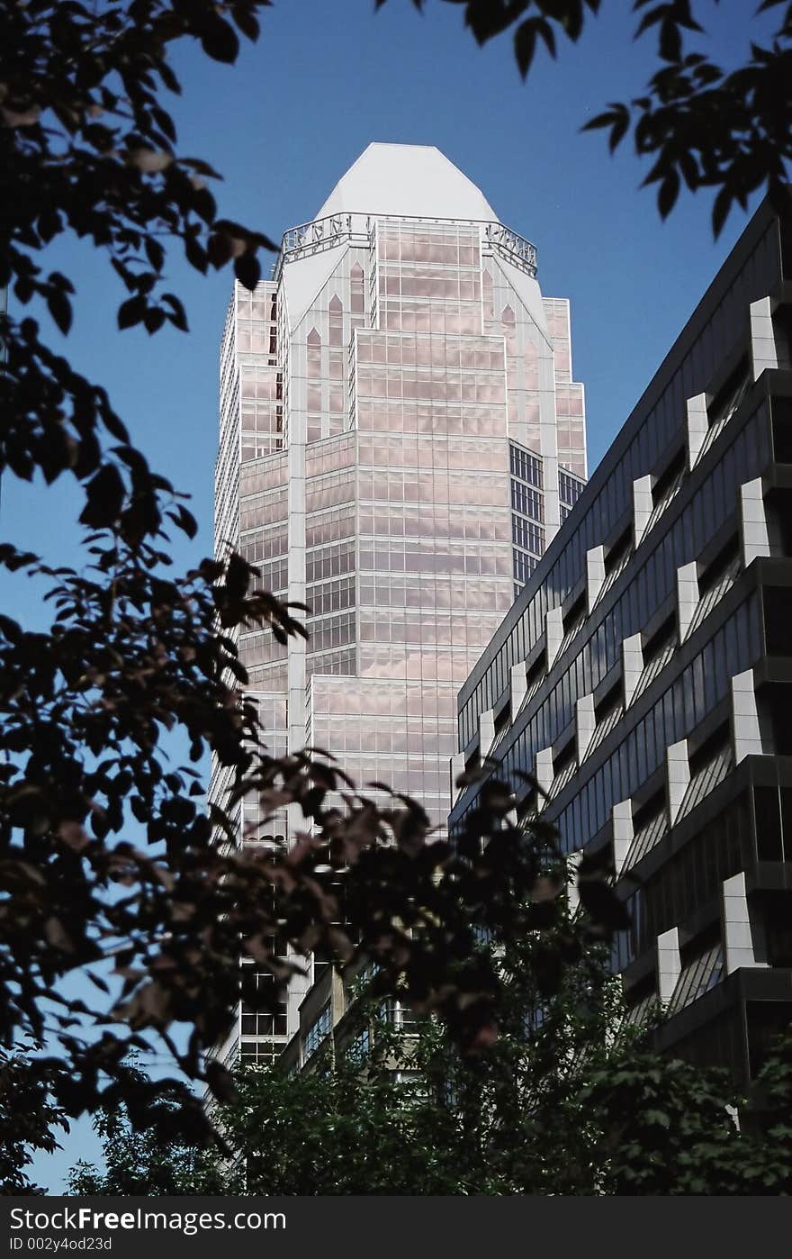 Montreal S Skyscraper