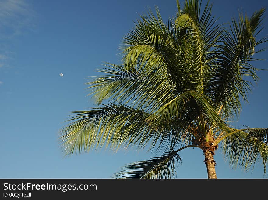 Sky Of Carribean