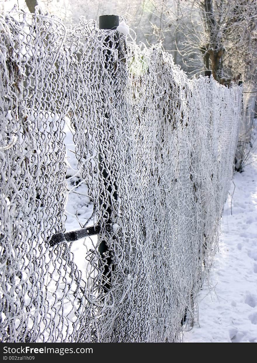 Frosted fencing. Frosted fencing