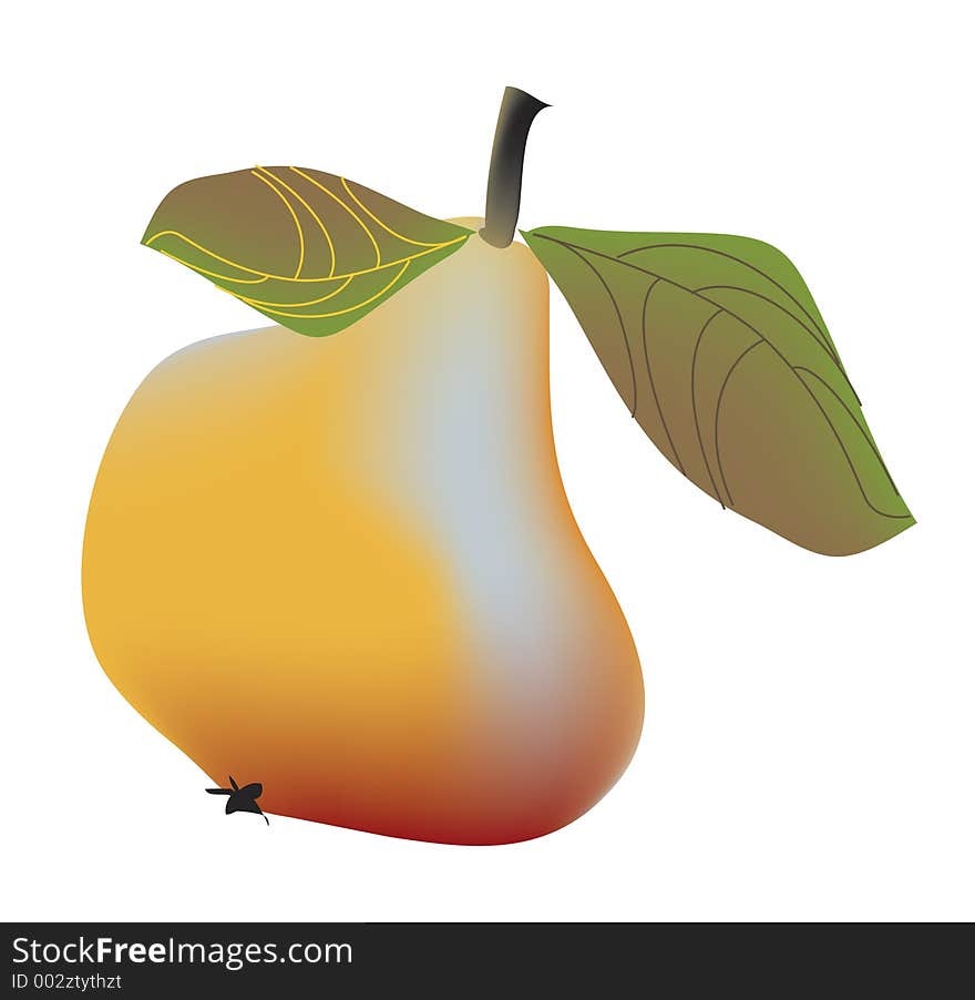 Beautiful Pear