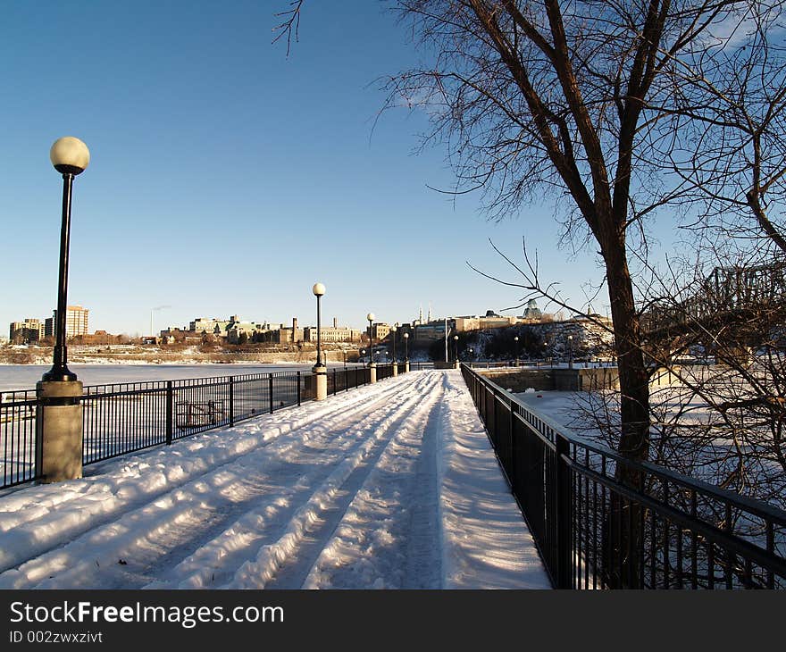 Frozen Marina