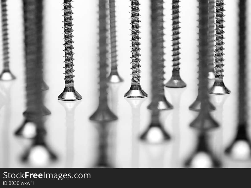 Bunch of screws standing on a white reflective background. Bunch of screws standing on a white reflective background.