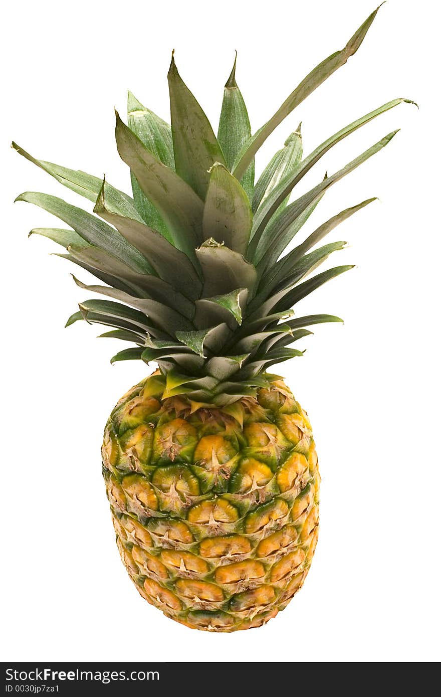 Pineapple against white. File contains clipping path. Pineapple against white. File contains clipping path.