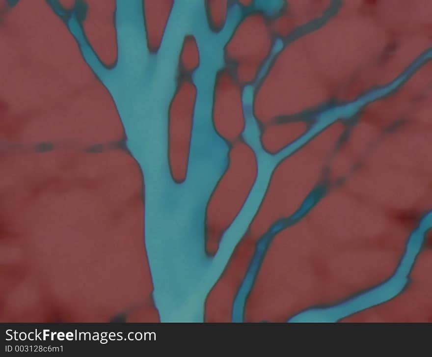 Digital creation of veins. Digital creation of veins