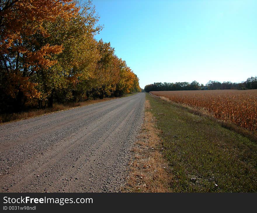 Empty Road