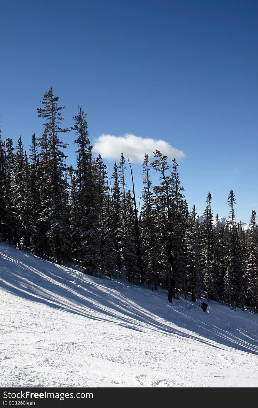 Ski Slope in the Winter