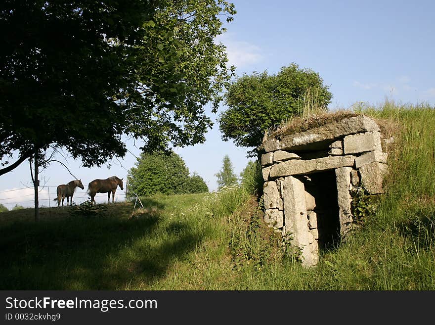 Horses and an old cellar