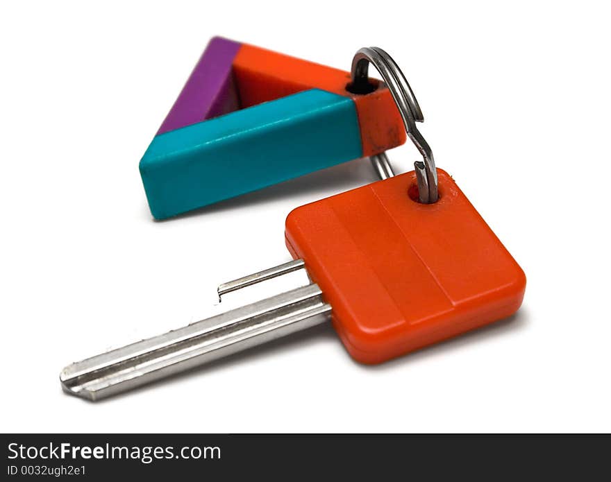 Single Key w/ Colorful Tag