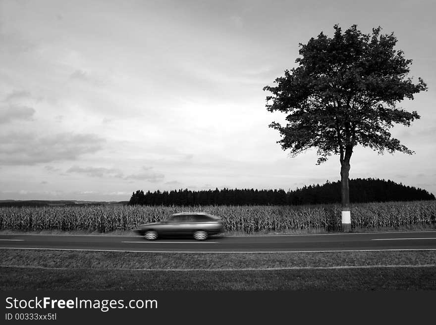 A moving car and a tree. A moving car and a tree