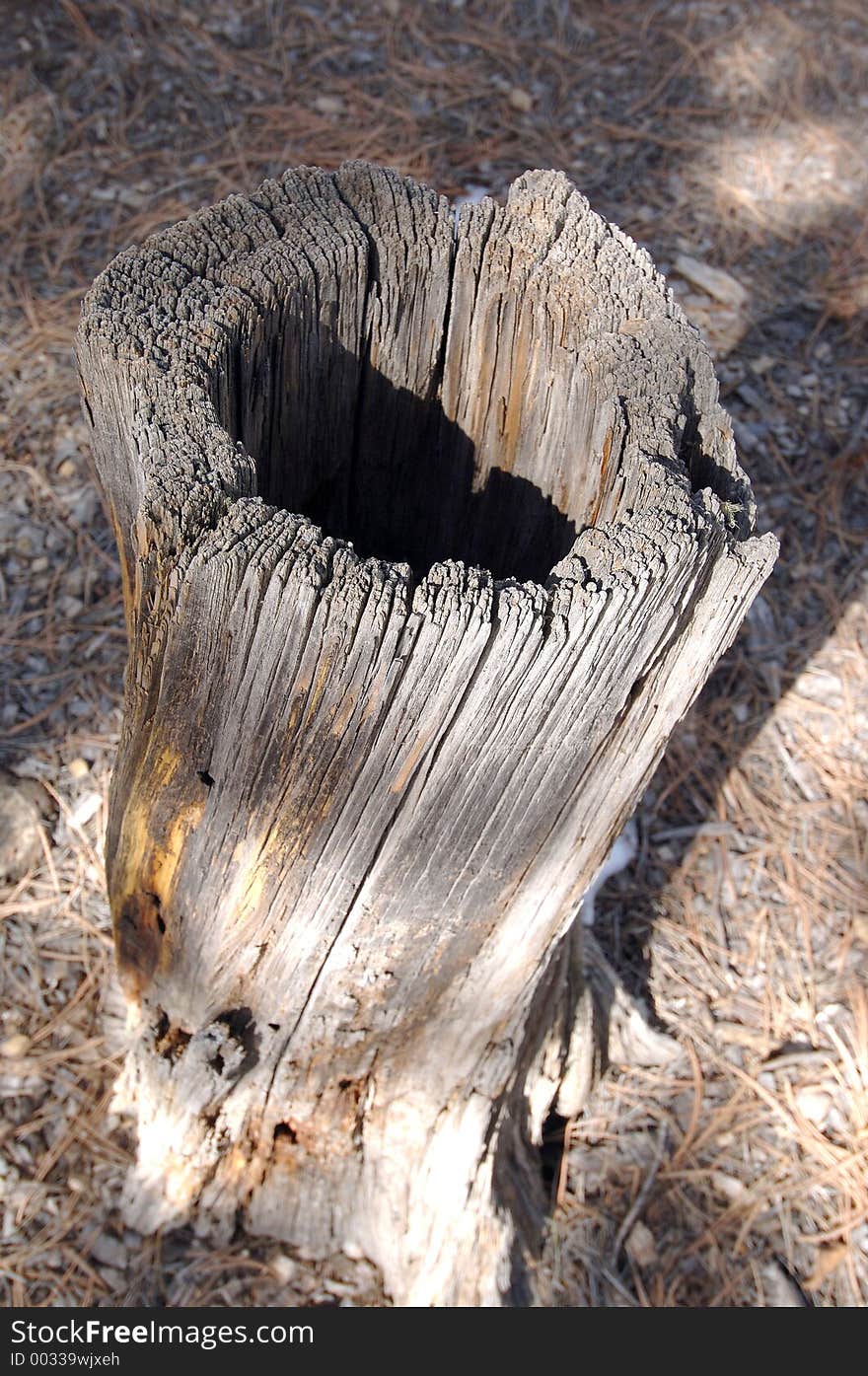 Stump