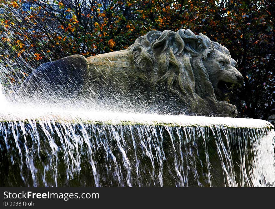 Lion next to the Luxemburg Park in Paris. Picture taking with tripod. Lion next to the Luxemburg Park in Paris. Picture taking with tripod.