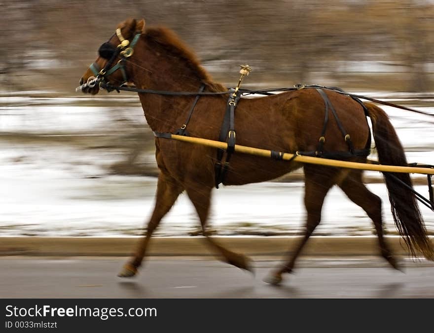 Chestnut Pulling - Motion Blur