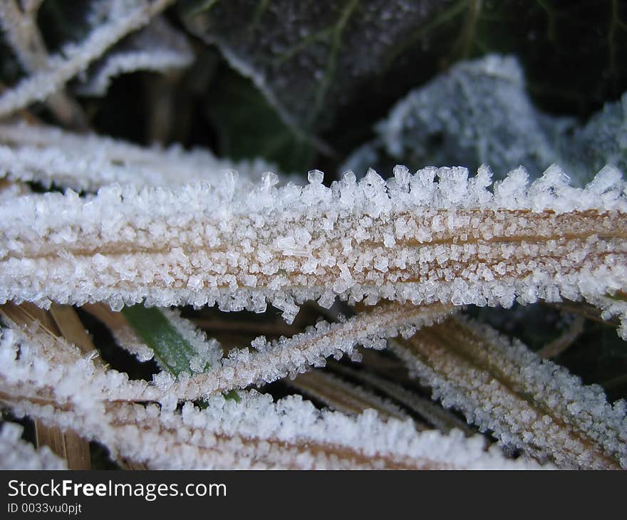 Ice crystals on a dry grass. Ice crystals on a dry grass