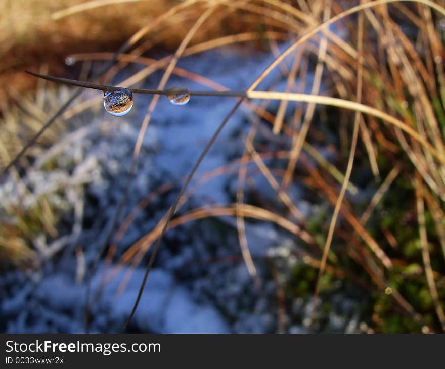 Macro of a water droplet on frost-bitten blade of grass