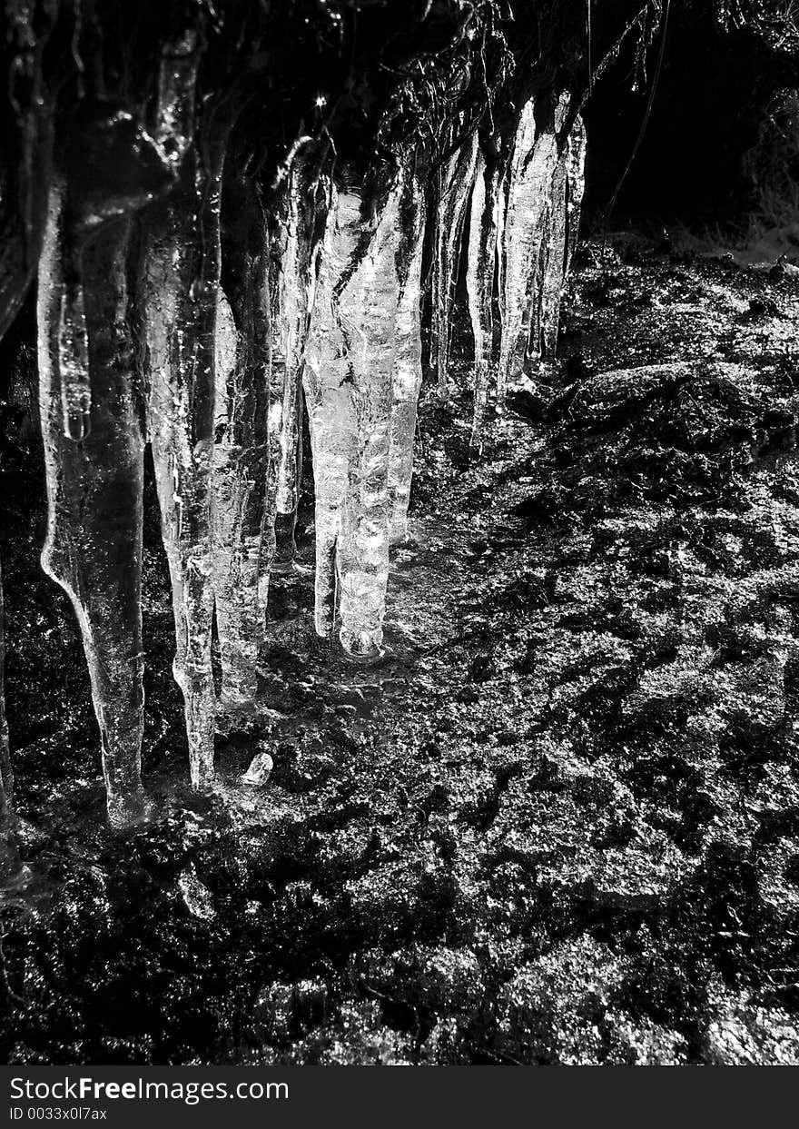 Icicles hanging from collapsed turf hole on hillside