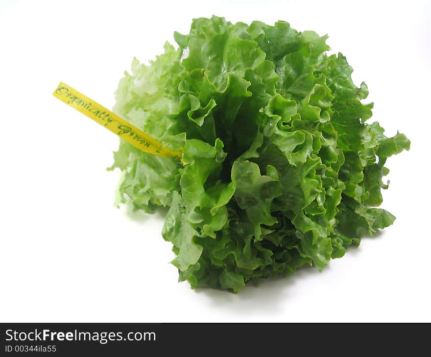 Organically grown lettuce. Isolated in white.