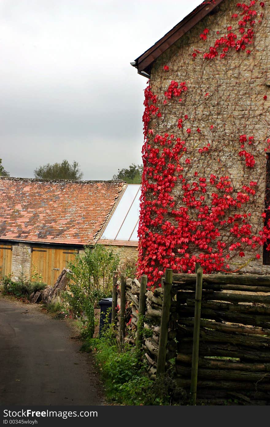 Main house of a farm with a red plant growing on it, black red. Main house of a farm with a red plant growing on it, black red