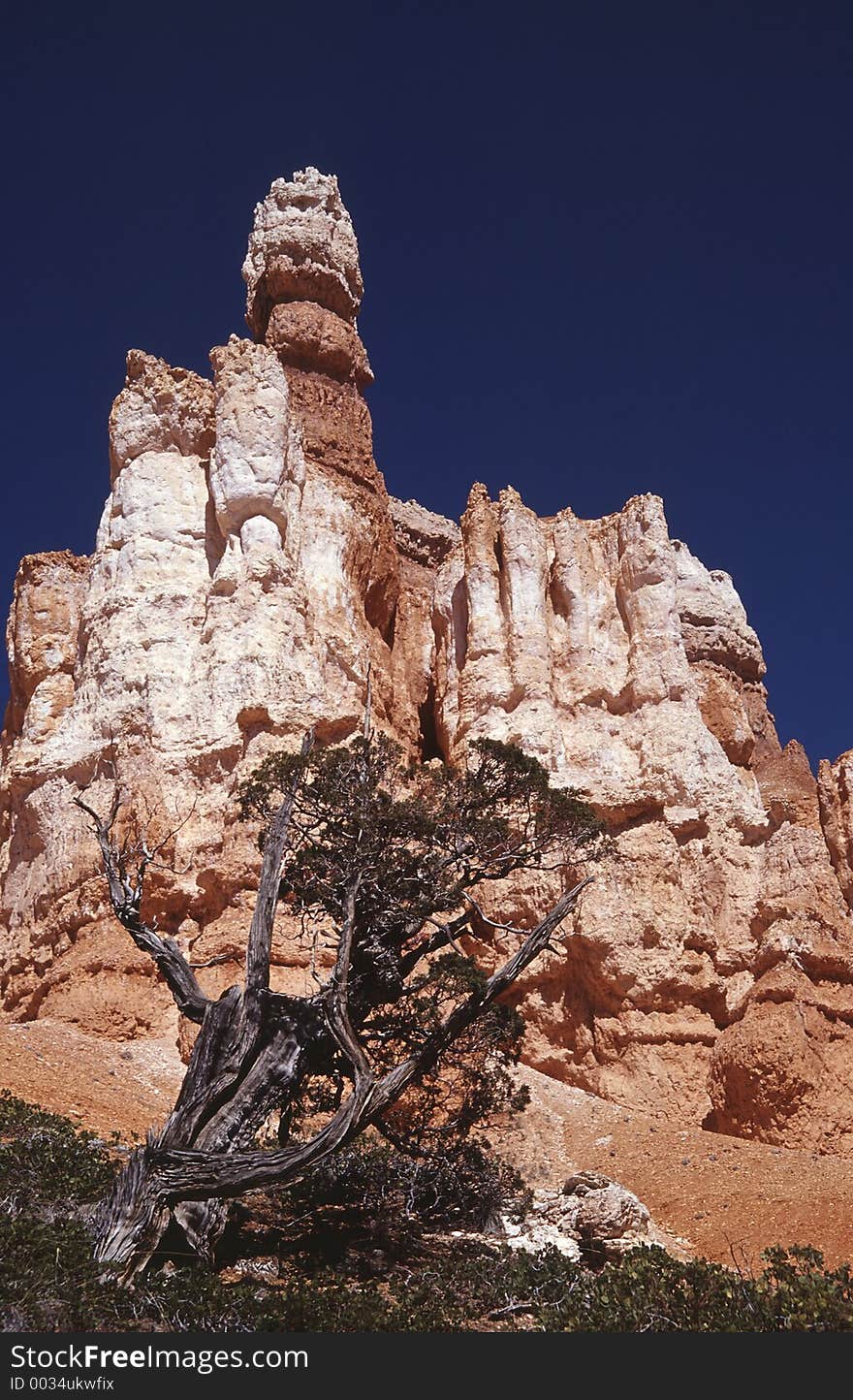 Hiking into the Bryce Canyon gives you amazing view to fragile rock formations.