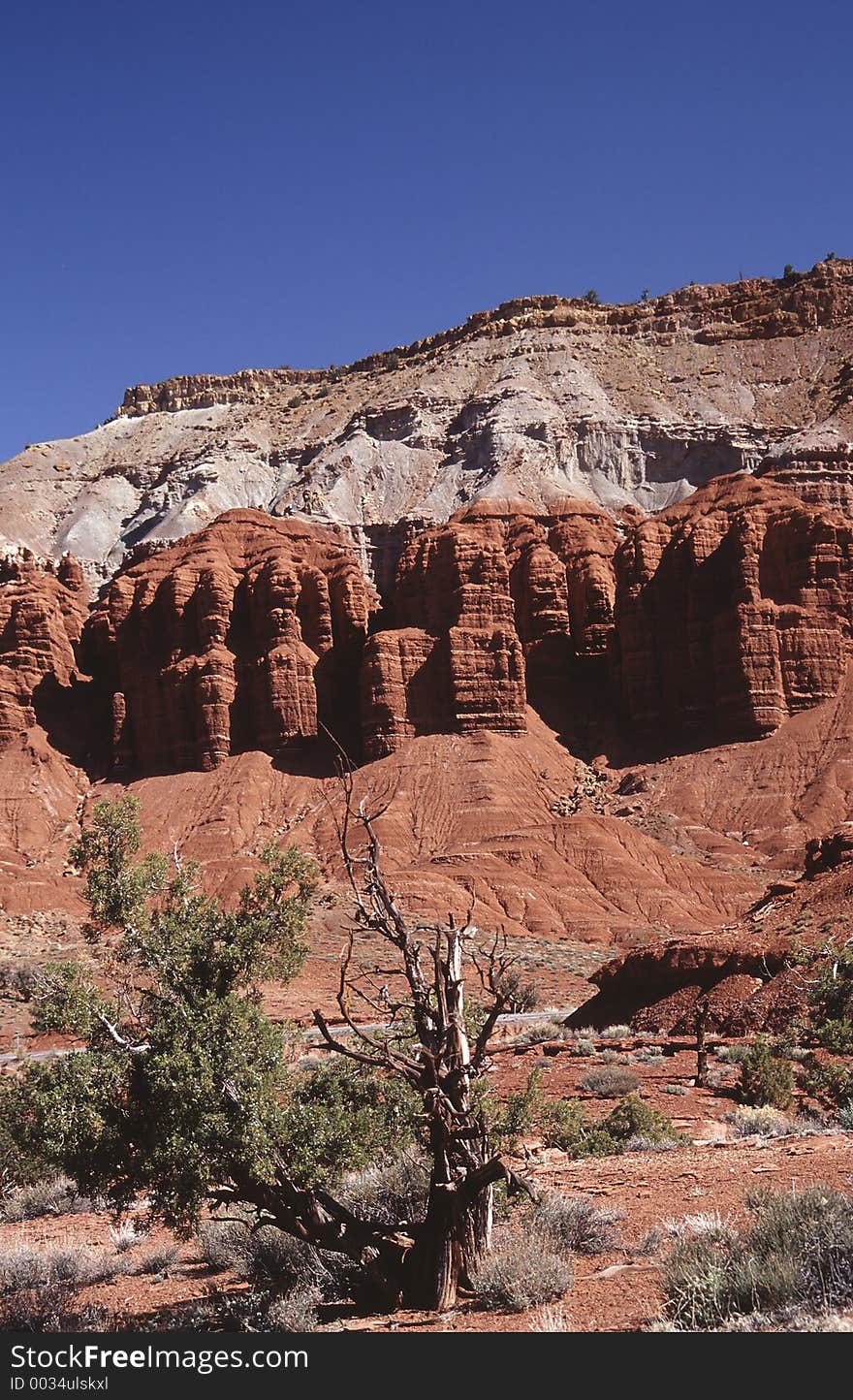 A highlight in southern Utah is the Capitol Reef National Park with his eroded rock formations. A highlight in southern Utah is the Capitol Reef National Park with his eroded rock formations