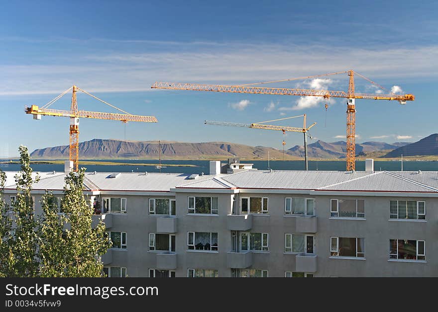 Three cranes over the harbour in Reykjavic, Iceland