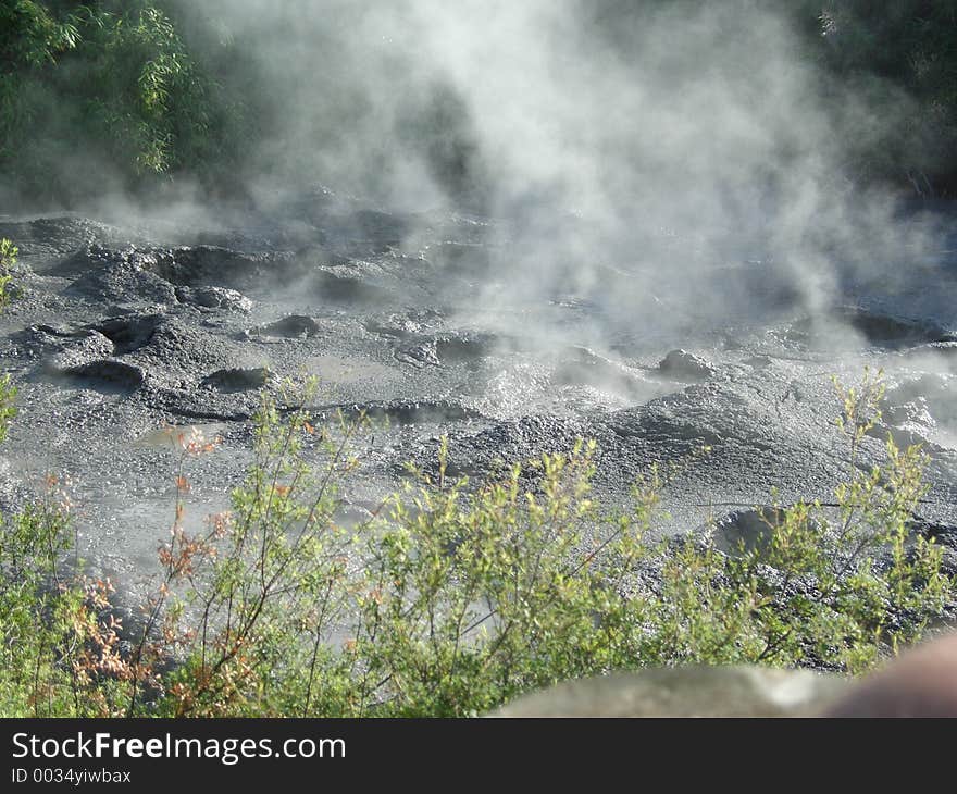 This fumarole is also located in the geysir area of Rotorua on thr northern island of New Zealand