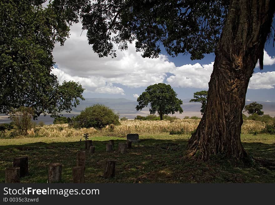 Africa landscape 014 ngorongoro lunch area