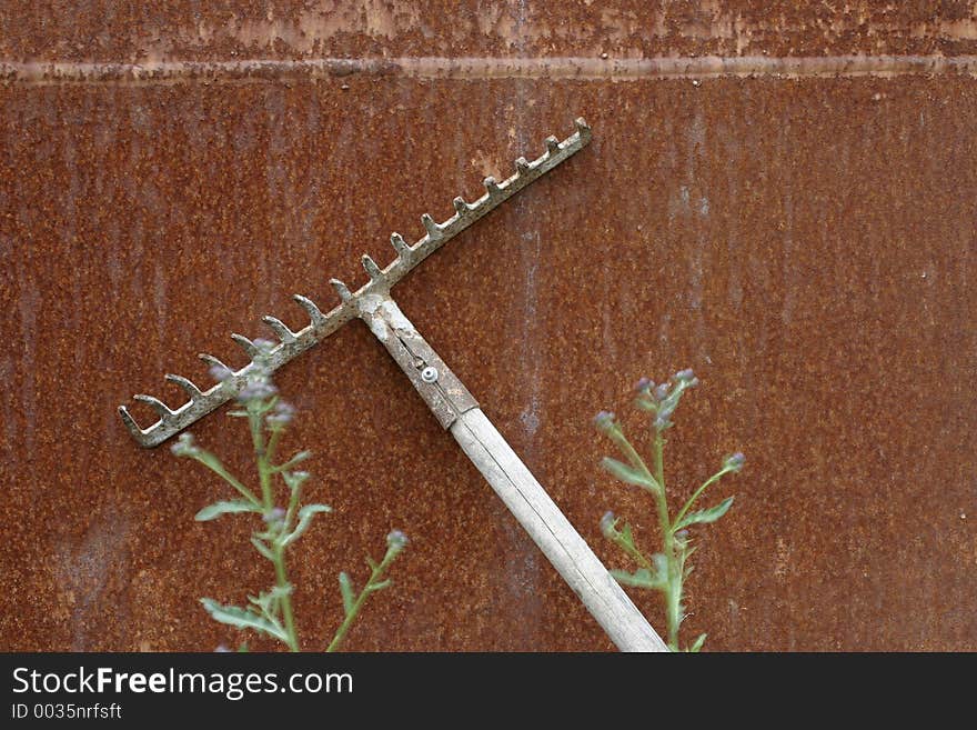 A old rake in front of a rusty surface. A old rake in front of a rusty surface