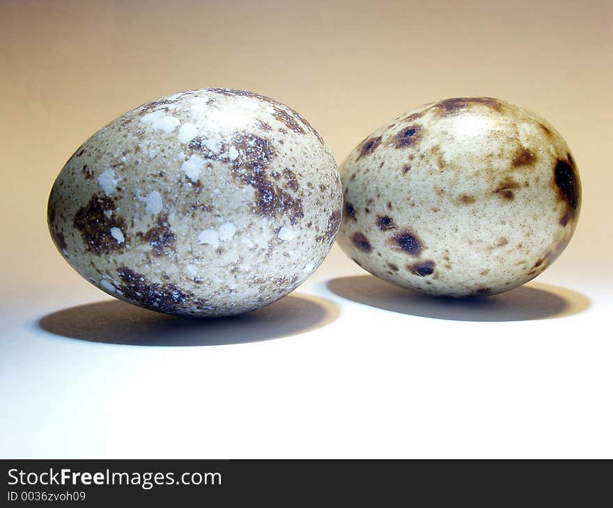 Quail s eggs