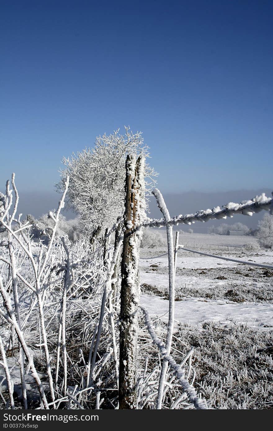 Frozen Fence