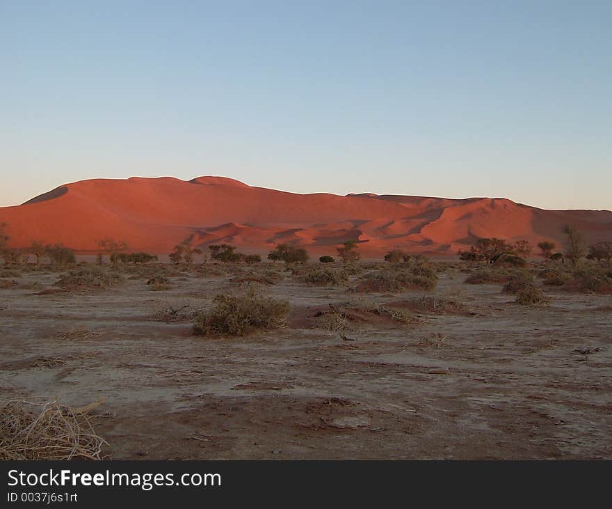 Dune Namib