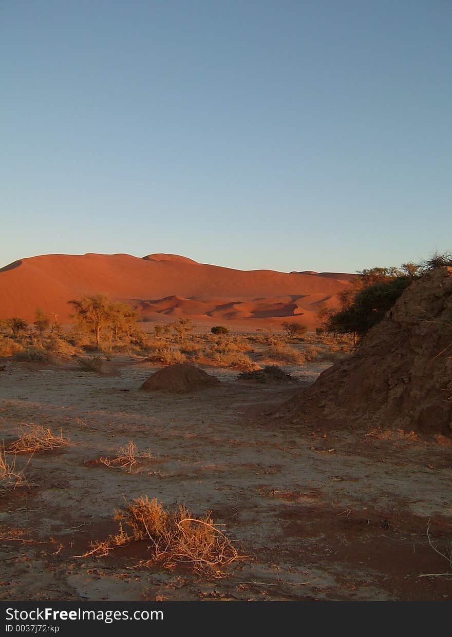 Dune Namib 02