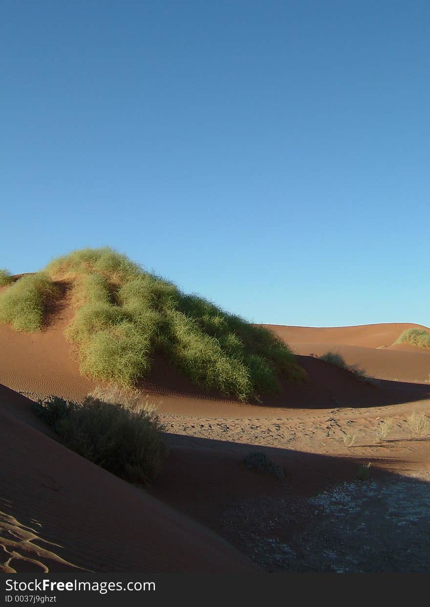 Namib desert 06