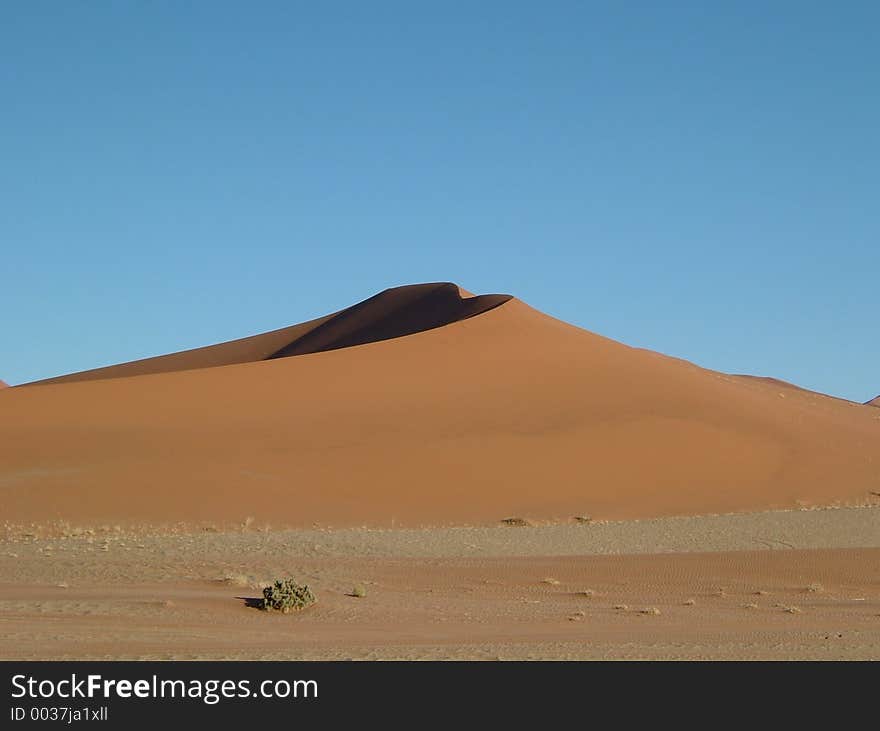 Dune Namib