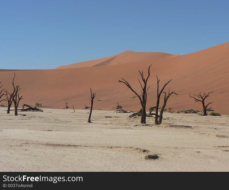 Salt Pan In Namibia