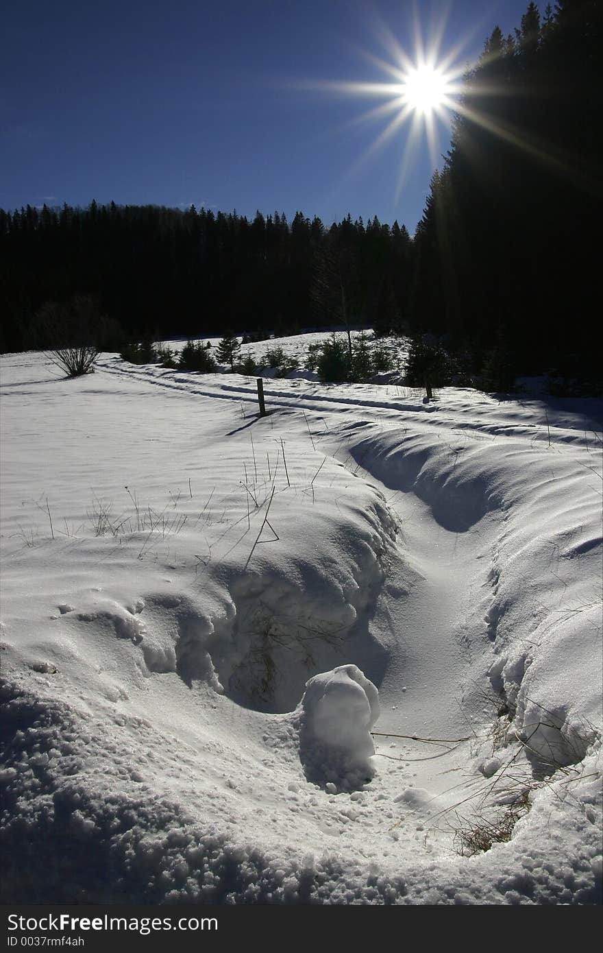 Snowy Landscape