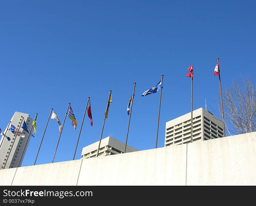 Flags flying in the breeze