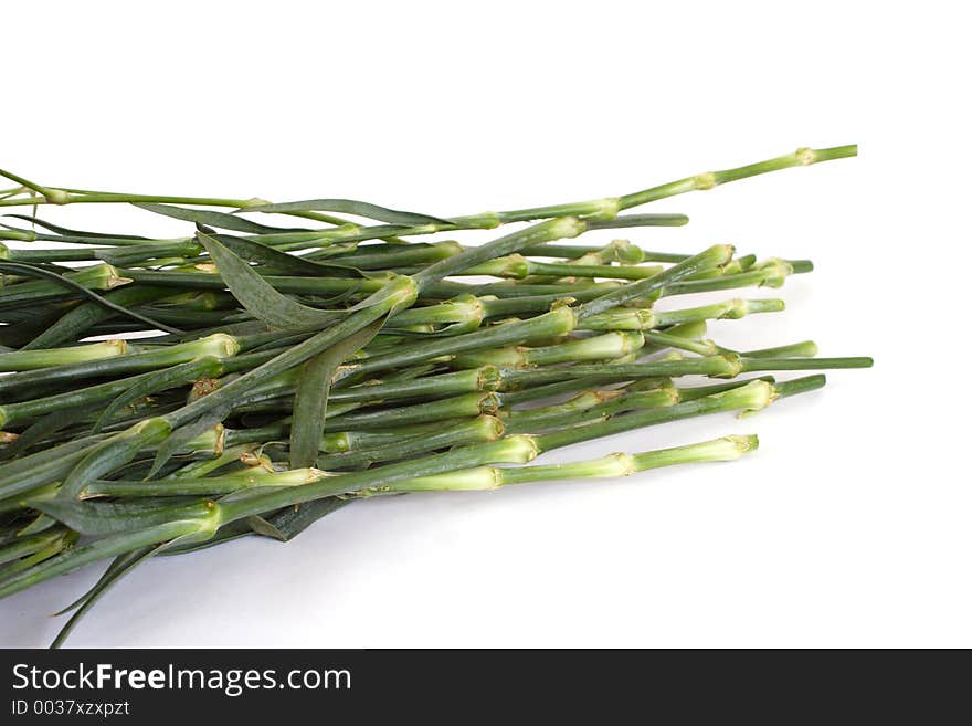 Carnation stems