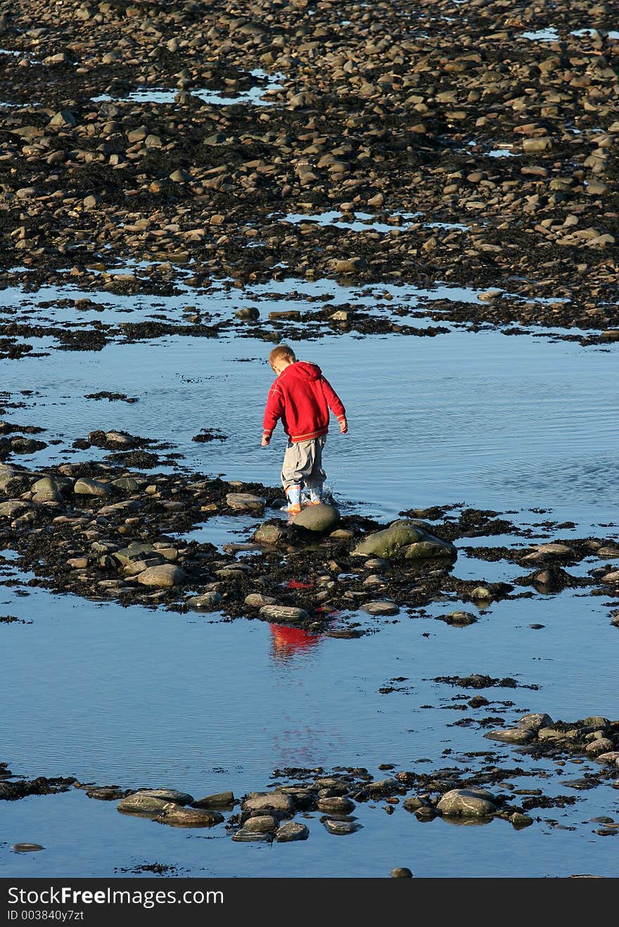 Little boy playing alone in a rock pool on a beach of pebbles, pools and seaweed.